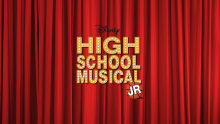 HSM